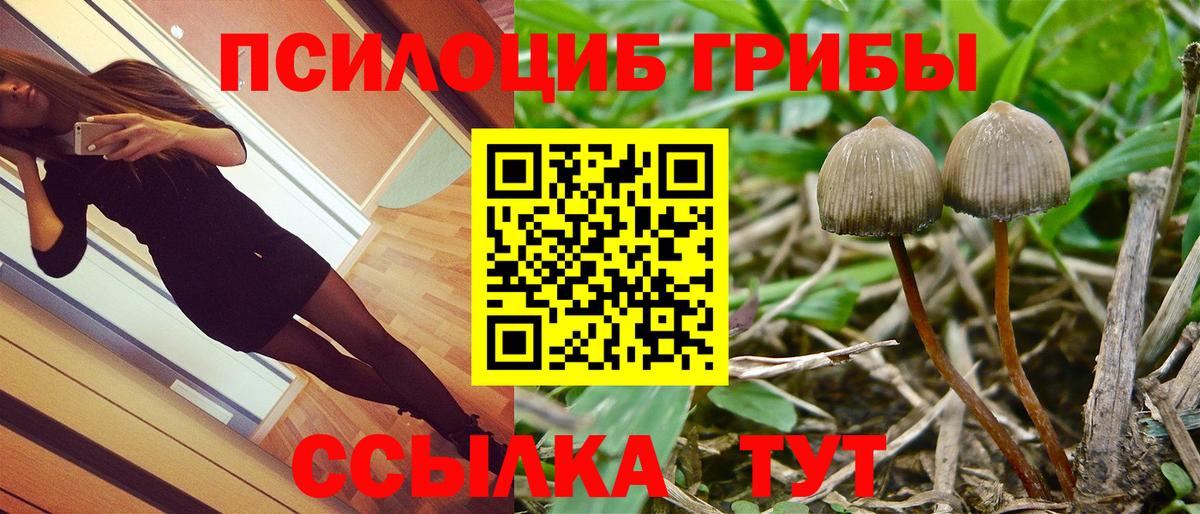 Выборг  Галлюциногенные грибы Psilocybine cubensis  Вход с VPN  Галлюциногенные грибы GOLDEN TEACHER 